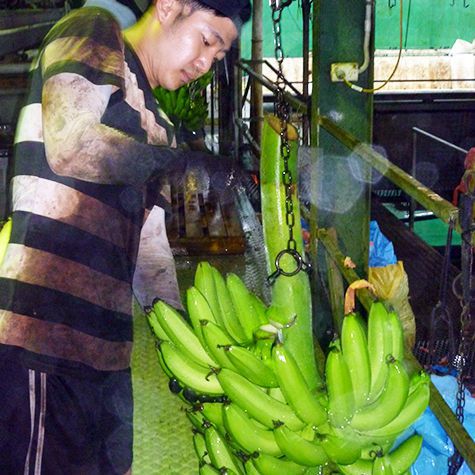 バナナのカット