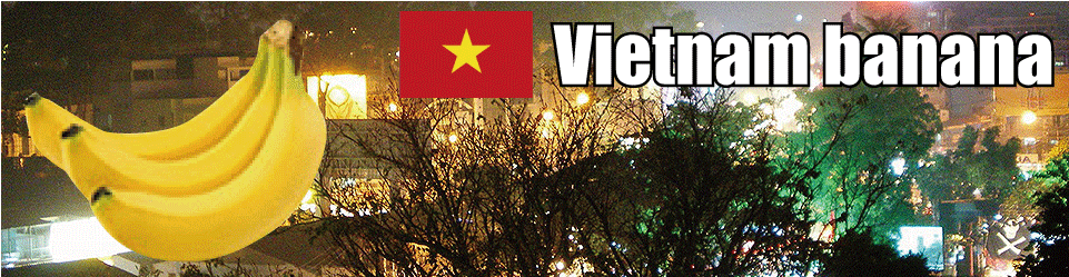 ベトナム産バナナTOP