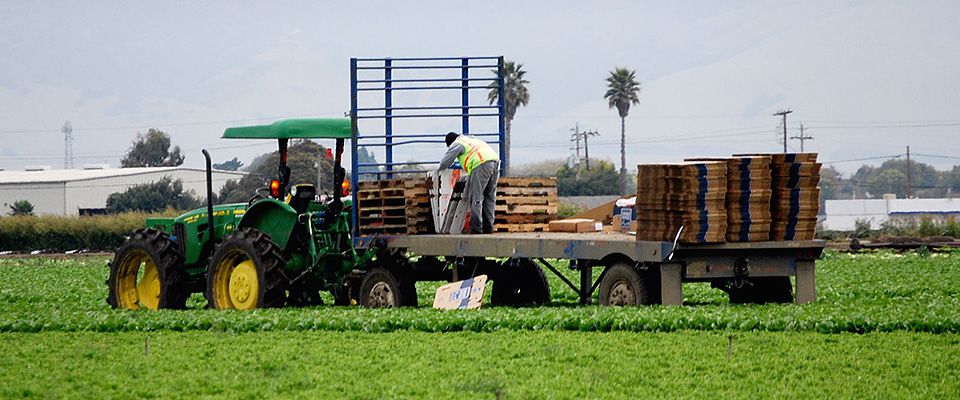ユニバーサルウィズダムの強み