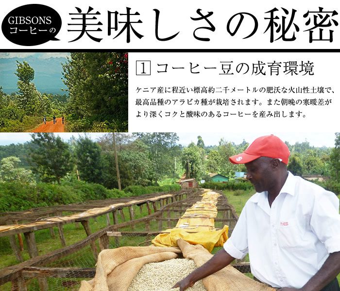 美味しさの秘密