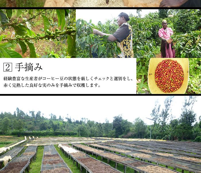 美味しさの秘密2